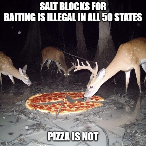 Salt Blocks for baiting is illegalin all 50 states, Pizza is not. | SALT BLOCKS FOR BAITING IS ILLEGAL IN ALL 50 STATES; PIZZA IS NOT | image tagged in deer,hunting | made w/ Imgflip meme maker