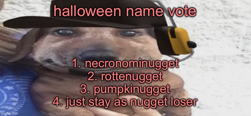 chucklenuts | halloween name vote; 1. necronominugget
2. rottenugget
3. pumpkinugget
4. just stay as nugget loser | image tagged in chucklenuts | made w/ Imgflip meme maker