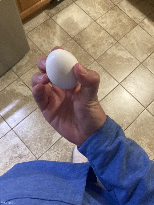 Singular egg | made w/ Imgflip meme maker