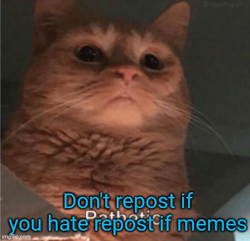 Don't repost | Don't repost if you hate repost if memes | made w/ Imgflip meme maker