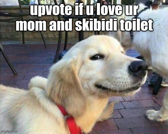 skibidi dope dope dope yes yes | upvote if u love ur mom and skibidi toilet | image tagged in dog smiling | made w/ Imgflip meme maker