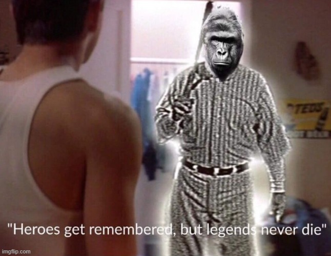 heroes get remembered, but legends never die | image tagged in heroes get remembered but legends never die | made w/ Imgflip meme maker