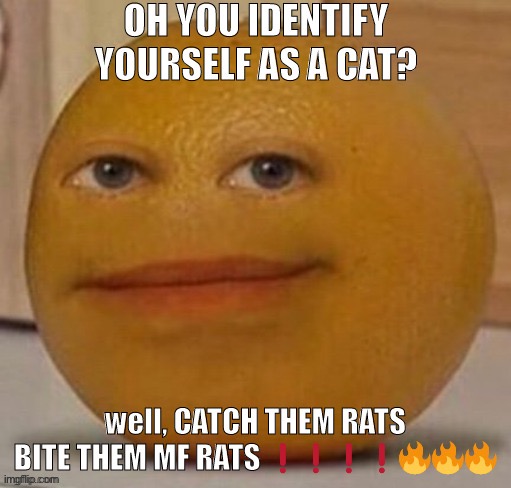 I’ma post this in the furry and lgbt stream as a funni joke | made w/ Imgflip meme maker