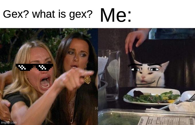 Relatable tho, fr fr? | Gex? what is gex? Me: | image tagged in memes,woman yelling at cat | made w/ Imgflip meme maker