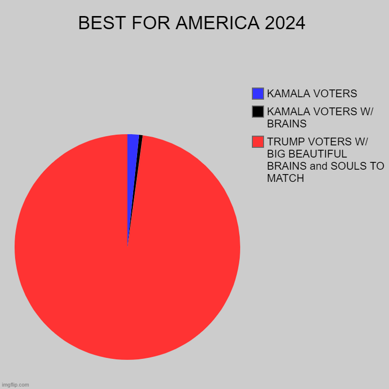 BEST FOR AMERICA 2024 | TRUMP VOTERS W/ BIG BEAUTIFUL BRAINS and SOULS TO MATCH, KAMALA VOTERS W/ BRAINS, KAMALA VOTERS | image tagged in charts,pie charts | made w/ Imgflip chart maker