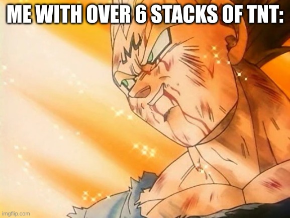 Vegeta Final Explosion | ME WITH OVER 6 STACKS OF TNT: | image tagged in vegeta final explosion | made w/ Imgflip meme maker