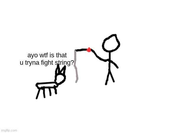cats in a nutshell | ayo wtf is that u tryna fight string? | made w/ Imgflip meme maker