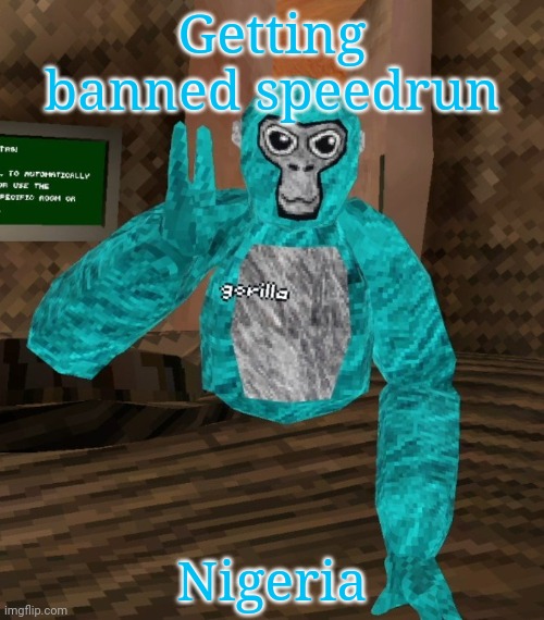 Monkey | Getting banned speedrun; Nigeria | image tagged in monkey | made w/ Imgflip meme maker