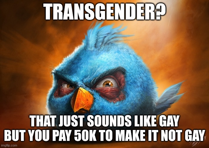 angry birds blue | TRANSGENDER? THAT JUST SOUNDS LIKE GAY BUT YOU PAY 50K TO MAKE IT NOT GAY | image tagged in angry birds blue | made w/ Imgflip meme maker