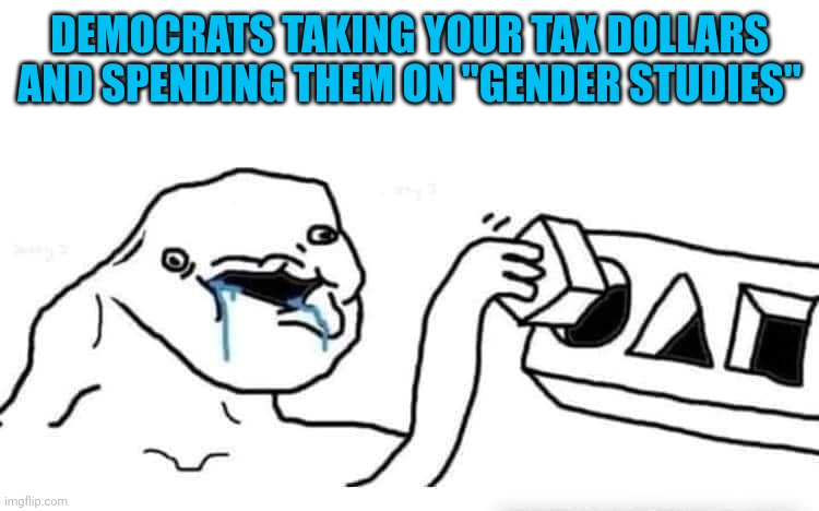 IT'S A SCAM | DEMOCRATS TAKING YOUR TAX DOLLARS AND SPENDING THEM ON "GENDER STUDIES" | image tagged in stupid dumb drooling puzzle,taxes,democrats,politics | made w/ Imgflip meme maker