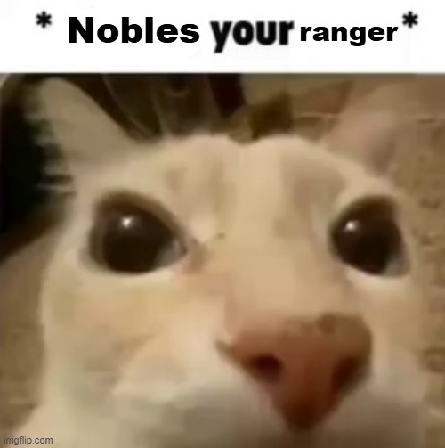 X your balls | Nobles; ranger | image tagged in x your balls | made w/ Imgflip meme maker