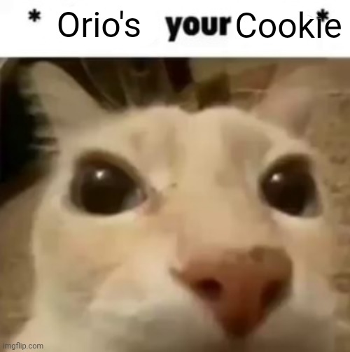 X your balls | Orio's; Cookie | image tagged in x your balls | made w/ Imgflip meme maker