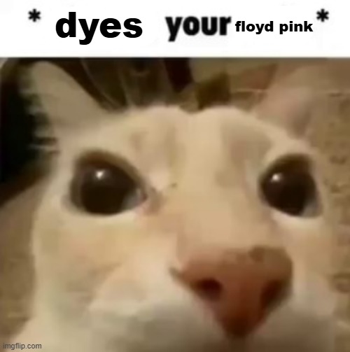 X your balls | dyes; floyd pink | image tagged in x your balls | made w/ Imgflip meme maker