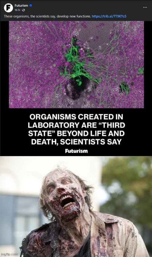 We have now, zombies | image tagged in walking dead zombie,zombies,life,death | made w/ Imgflip meme maker