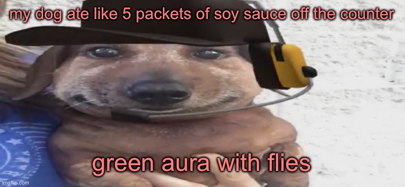 “A slight oops indeed” -TheHugePig | my dog ate like 5 packets of soy sauce off the counter; green aura with flies | image tagged in chucklenuts | made w/ Imgflip meme maker