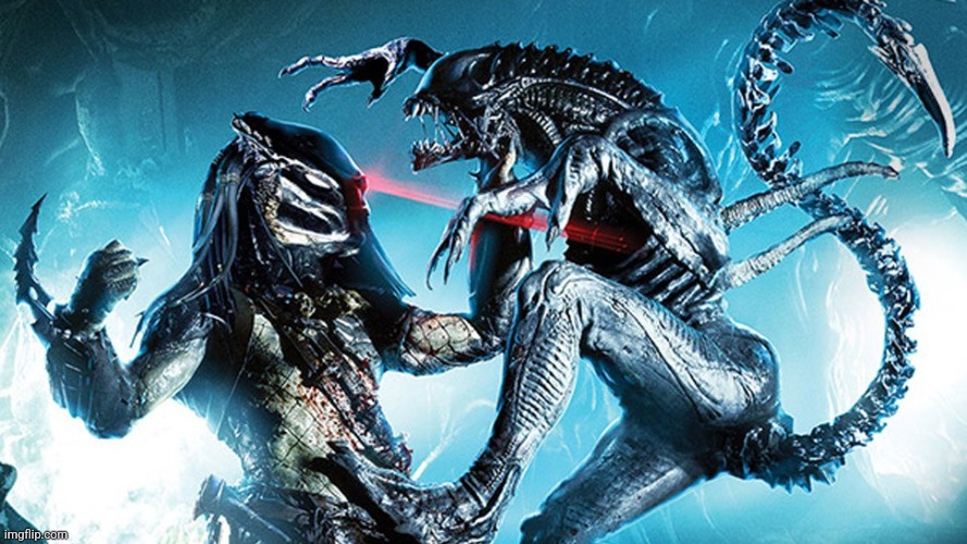 alien predator | image tagged in alien predator | made w/ Imgflip meme maker