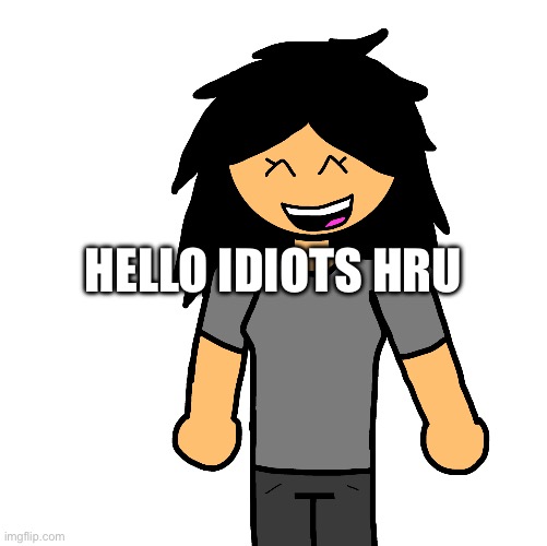 Ermmm some bitch | HELLO IDIOTS HRU | image tagged in ermmm some bitch | made w/ Imgflip meme maker