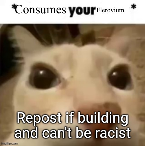 Yakko consumes your flerovium | Repost if building and can't be racist | image tagged in yakko consumes your flerovium | made w/ Imgflip meme maker