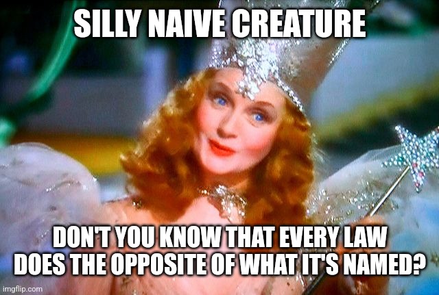 Fairy Tale | SILLY NAIVE CREATURE DON'T YOU KNOW THAT EVERY LAW DOES THE OPPOSITE OF WHAT IT'S NAMED? | image tagged in fairy tale | made w/ Imgflip meme maker