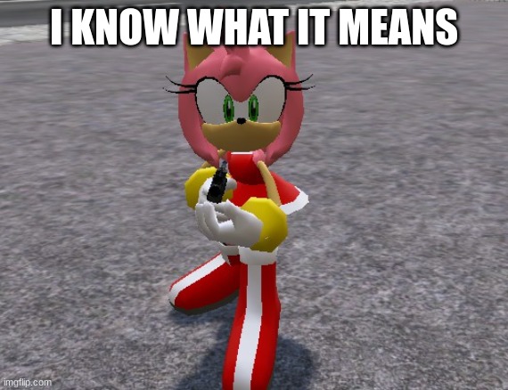 Amy Rose with a shotgun | I KNOW WHAT IT MEANS | image tagged in amy rose with a shotgun | made w/ Imgflip meme maker