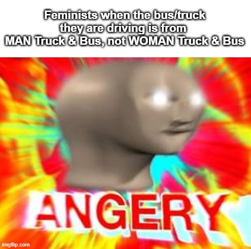 Feminists Cars PT.2 (MAN Truck & Bus) | Feminists when the bus/truck they are driving is from 
MAN Truck & Bus, not WOMAN Truck & Bus | image tagged in surreal angery,feminist,truck,bus | made w/ Imgflip meme maker