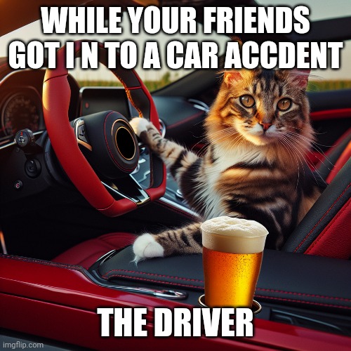 Catbee | WHILE YOUR FRIENDS GOT I N TO A CAR ACCDENT; THE DRIVER | image tagged in woman yelling at cat | made w/ Imgflip meme maker