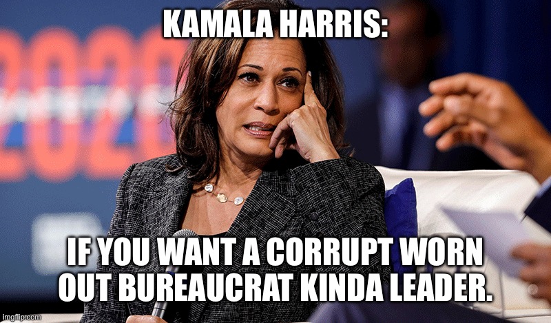 KAMALA HARRIS:; IF YOU WANT A CORRUPT WORN OUT BUREAUCRAT KINDA LEADER. | image tagged in kamala harris | made w/ Imgflip meme maker