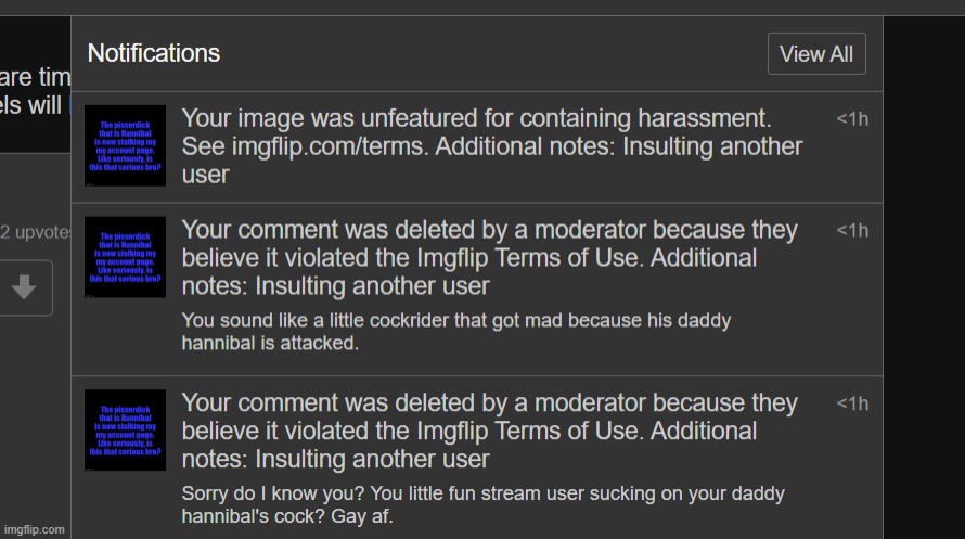 ARE YOU SERIOUS RN? Lemme guess the random person who was harrassing ME FIRST didn't get any reprocussions | made w/ Imgflip meme maker