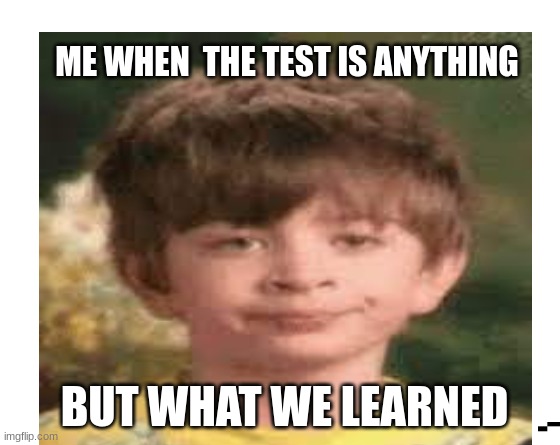 School meme | ME WHEN  THE TEST IS ANYTHING; BUT WHAT WE LEARNED | made w/ Imgflip meme maker