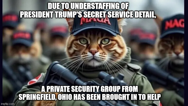 Maga Cat Security | DUE TO UNDERSTAFFING OF PRESIDENT TRUMP'S SECRET SERVICE DETAIL, A PRIVATE SECURITY GROUP FROM SPRINGFIELD, OHIO HAS BEEN BROUGHT IN TO HELP | image tagged in political meme | made w/ Imgflip meme maker