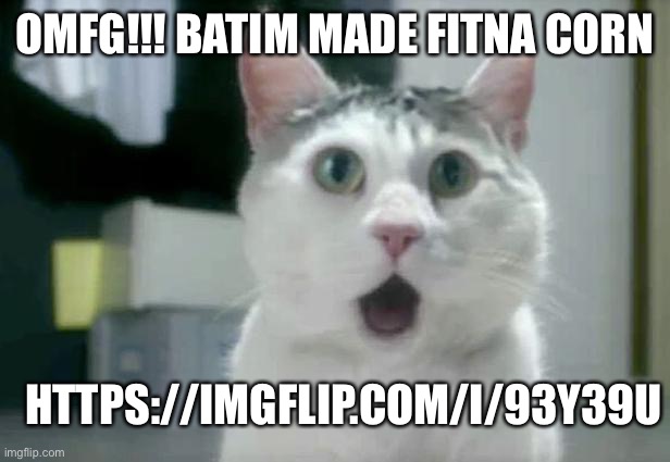 OMG Cat | OMFG!!! BATIM MADE FITNA CORN; HTTPS://IMGFLIP.COM/I/93Y39U | image tagged in memes,omg cat | made w/ Imgflip meme maker