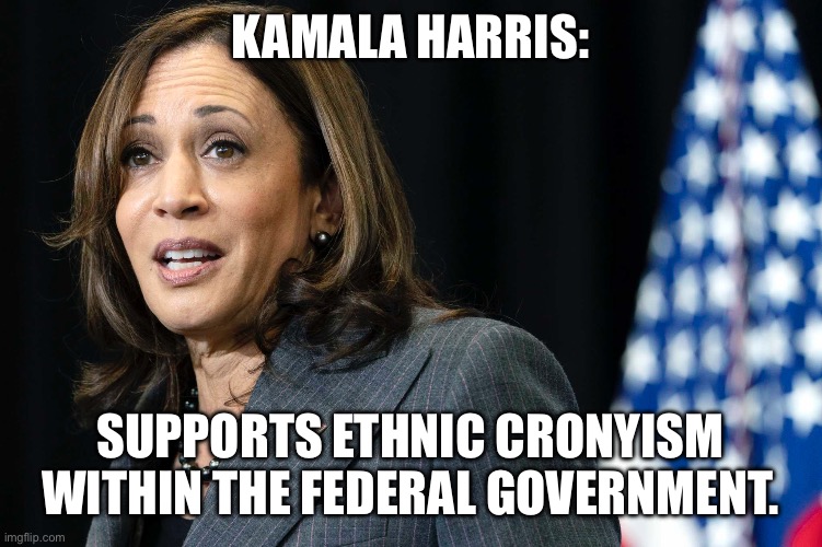 KAMALA HARRIS:; SUPPORTS ETHNIC CRONYISM WITHIN THE FEDERAL GOVERNMENT. | image tagged in politics | made w/ Imgflip meme maker