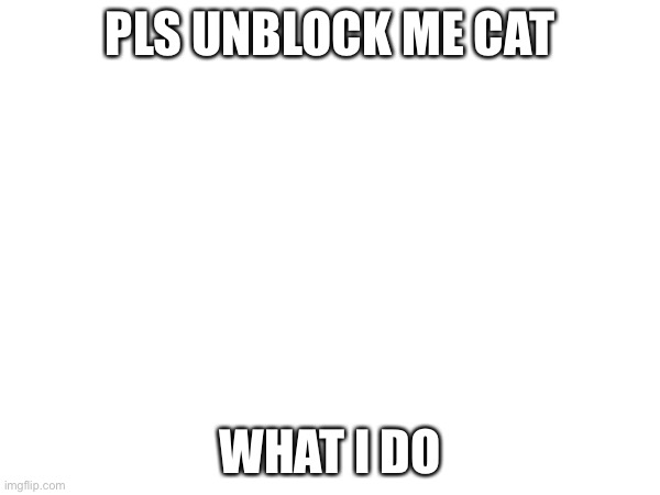 PLS UNBLOCK ME CAT; WHAT I DO | made w/ Imgflip meme maker