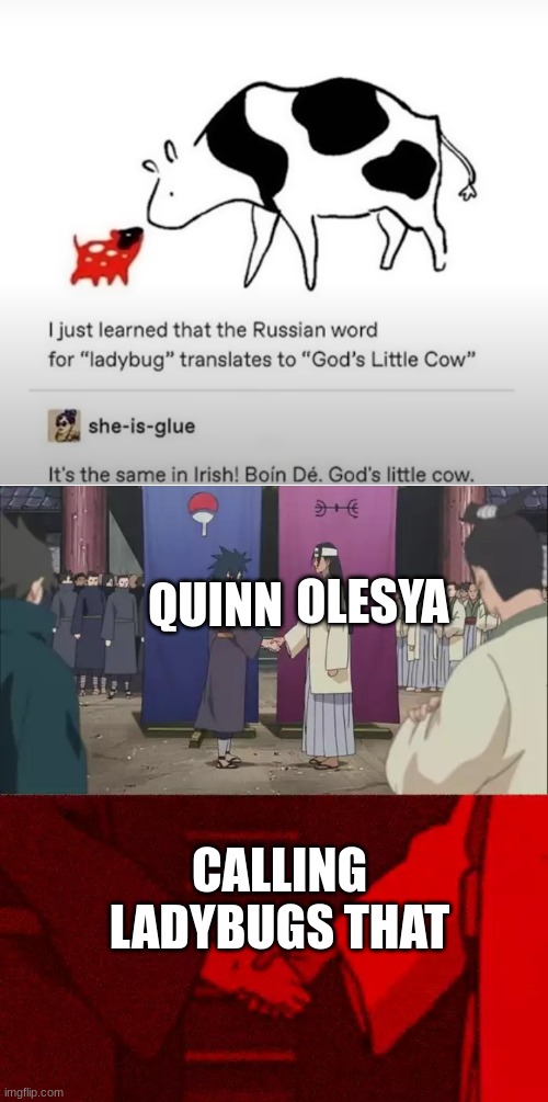 God's little cows. | OLESYA; QUINN; CALLING LADYBUGS THAT | image tagged in ocs,naruto handshake meme template | made w/ Imgflip meme maker