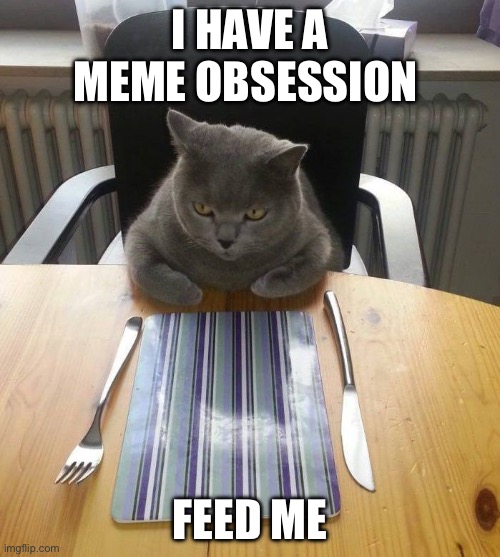 Welcome to my meme cereal box. I need you to fill it so I can pour it into my LateNightBowlOfMemes | I HAVE A MEME OBSESSION; FEED ME | image tagged in hungry cat | made w/ Imgflip meme maker