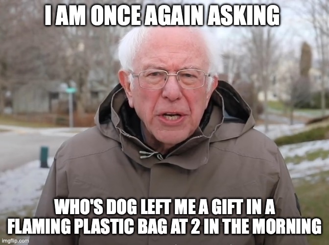 Bernie Sanders Once Again Asking | I AM ONCE AGAIN ASKING; WHO'S DOG LEFT ME A GIFT IN A FLAMING PLASTIC BAG AT 2 IN THE MORNING | image tagged in bernie sanders once again asking | made w/ Imgflip meme maker