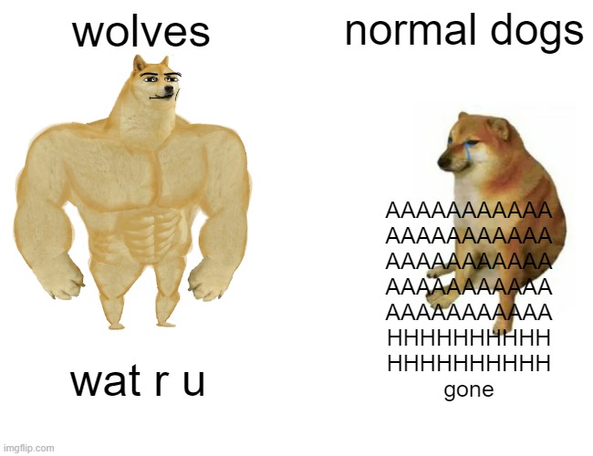 normal dogs pov: RUNRUNRUNRUNRUNRUNRUNRUNRUN | wolves; normal dogs; AAAAAAAAAAA
AAAAAAAAAAA
AAAAAAAAAAA
AAAAAAAAAAA
AAAAAAAAAAA
HHHHHHHHHH
HHHHHHHHHH
gone; wat r u | image tagged in memes,buff doge vs cheems | made w/ Imgflip meme maker