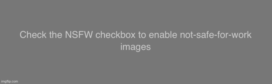 Check the NSFW checkbox to enable not-safe-for-work images | image tagged in check the nsfw checkbox to enable not-safe-for-work images | made w/ Imgflip meme maker