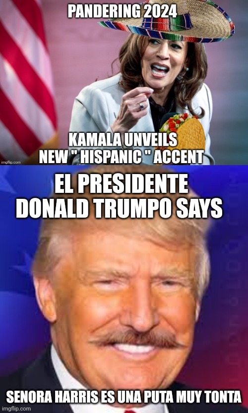 kamala harris meme | EL PRESIDENTE DONALD TRUMPO SAYS; SENORA HARRIS ES UNA PUTA MUY TONTA | image tagged in donald trump | made w/ Imgflip meme maker