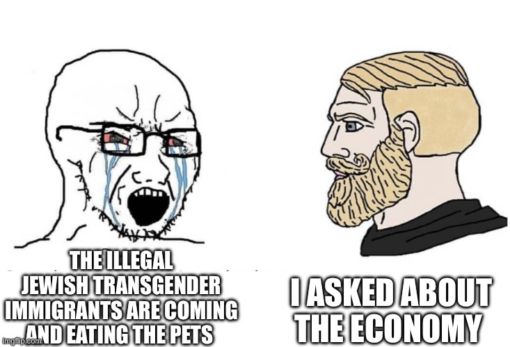 Soyboy Vs Yes Chad | I ASKED ABOUT THE ECONOMY; THE ILLEGAL JEWISH TRANSGENDER IMMIGRANTS ARE COMING AND EATING THE PETS | image tagged in soyboy vs yes chad | made w/ Imgflip meme maker