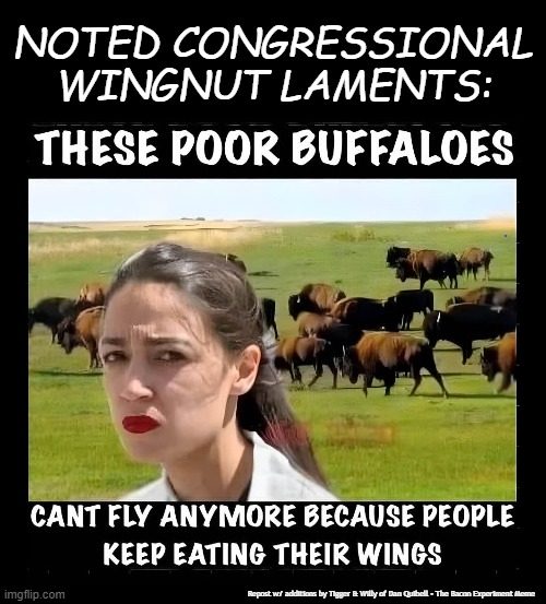 NOTED CONGRESSIONAL WINGNUT LAMENTS:; Repost w/ additions by Tigger & Willy of Dan Quibell - The Bacon Experiment Meme | image tagged in alexandria ocasio-cortez | made w/ Imgflip meme maker