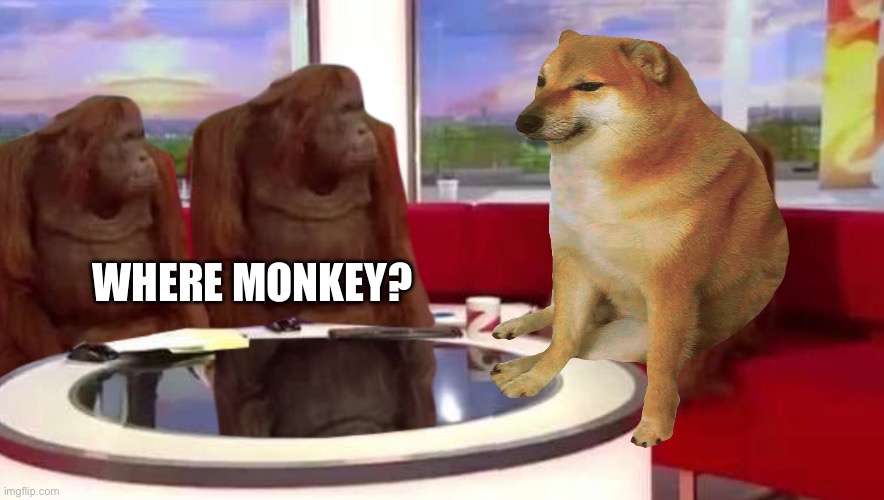 Fr. Where monkey? | WHERE MONKEY? | image tagged in where monkey | made w/ Imgflip meme maker