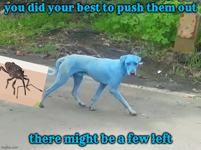 I didn't see anything | you did your best to push them out there might be a few left | image tagged in i didn't see anything | made w/ Imgflip meme maker