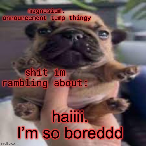 pug temp | haiiii. I’m so boreddd | image tagged in pug temp | made w/ Imgflip meme maker