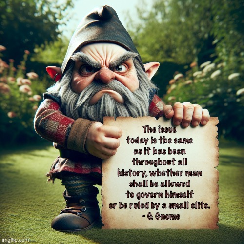 Gnome with sign | The issue today is the same as it has been throughout all history, whether man shall be allowed to govern himself or be ruled by a small elite.
 - G. Gnome | image tagged in gnome with sign | made w/ Imgflip meme maker