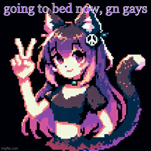 catgirl with peace sign | going to bed now, gn gays | image tagged in catgirl with peace sign | made w/ Imgflip meme maker