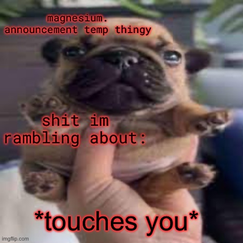 pug temp | *touches you* | image tagged in pug temp | made w/ Imgflip meme maker