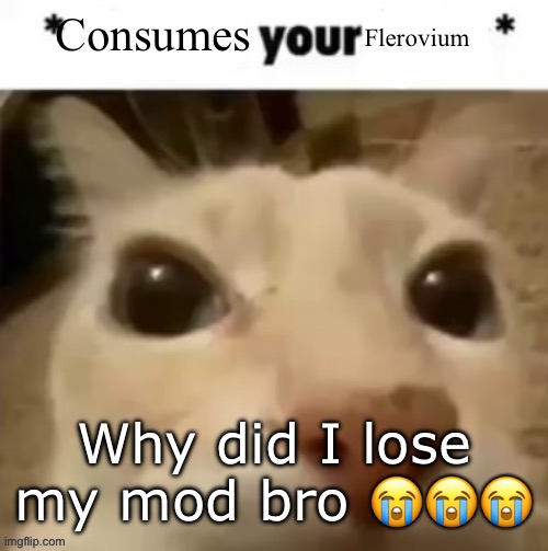 tf did i do | Why did I lose my mod bro 😭😭😭 | image tagged in yakko consumes your flerovium | made w/ Imgflip meme maker