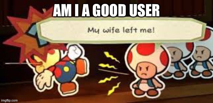 Rate me on a scale from 1-10, ten being the best | AM I A GOOD USER | image tagged in my wife left me | made w/ Imgflip meme maker