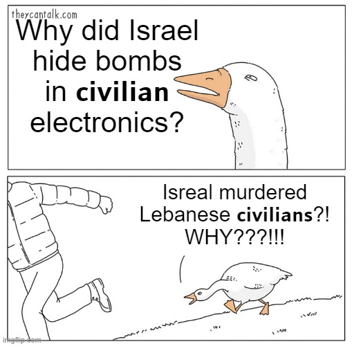 Israeli Pager Bombs | Why did Israel
hide bombs in 𝗰𝗶𝘃𝗶𝗹𝗶𝗮𝗻 electronics? Isreal murdered
Lebanese 𝗰𝗶𝘃𝗶𝗹𝗶𝗮𝗻𝘀?!
WHY???!!! | image tagged in goose chasing guy hd | made w/ Imgflip meme maker